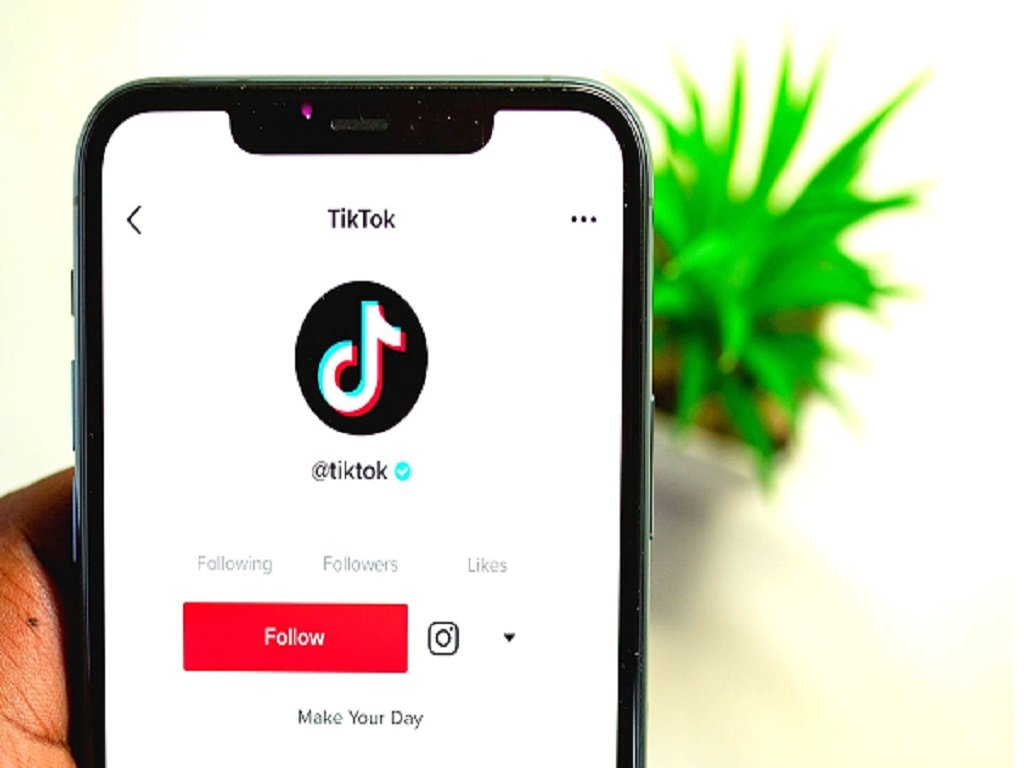 Why should you follow some Strategies for Maximizing followers on TikTok