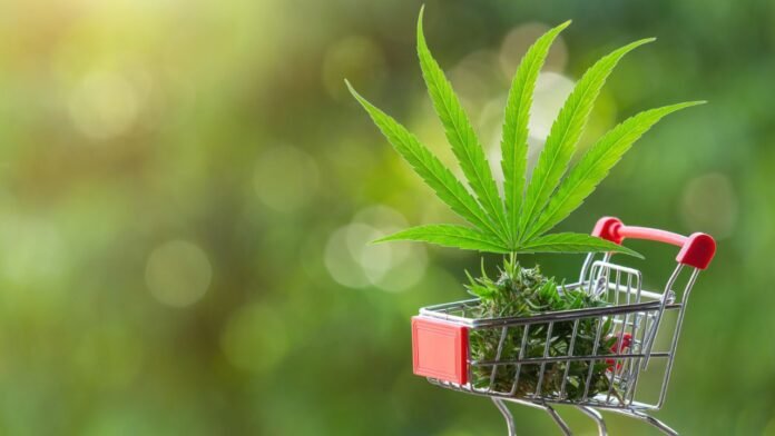 Why Local Cannabis Dispensaries Matter More Than Ever